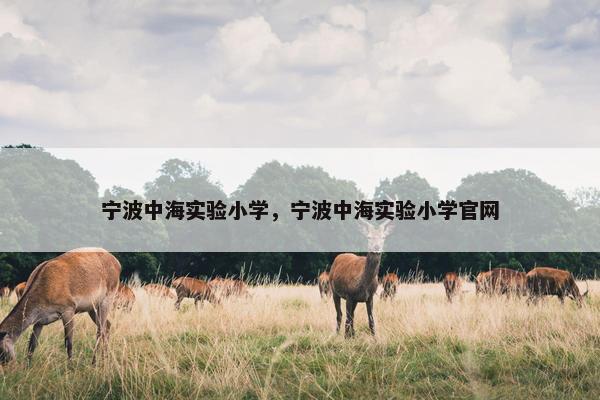 宁波中海实验小学，宁波中海实验小学官网