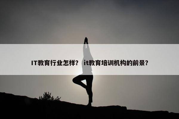 IT教育行业怎样？ it教育培训机构的前景？