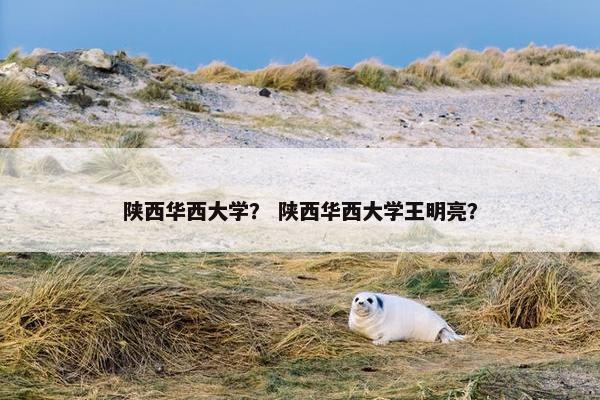 陕西华西大学？ 陕西华西大学王明亮？