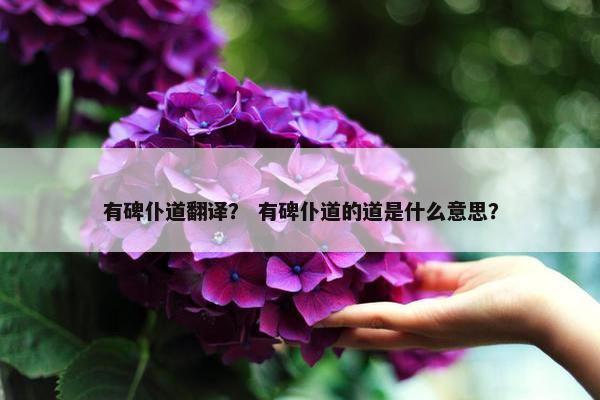有碑仆道翻译？ 有碑仆道的道是什么意思？