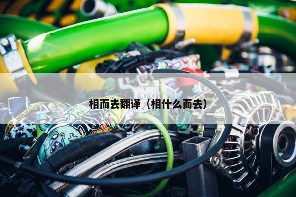 相而去翻译（相什么而去）