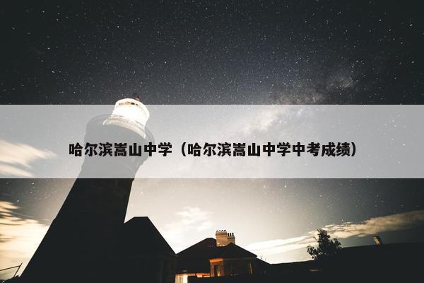 哈尔滨嵩山中学（哈尔滨嵩山中学中考成绩）