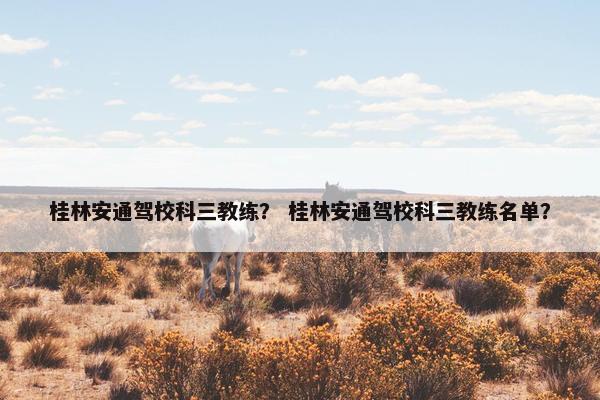 桂林安通驾校科三教练？ 桂林安通驾校科三教练名单？