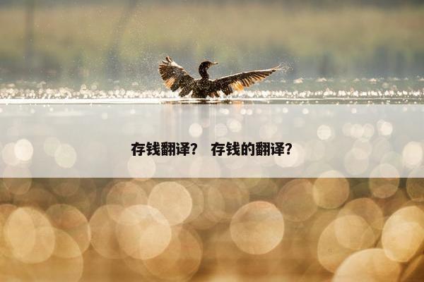 存钱翻译？ 存钱的翻译？