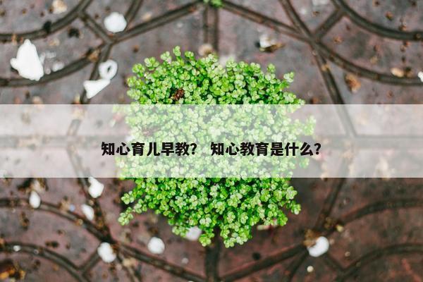 知心育儿早教？ 知心教育是什么？