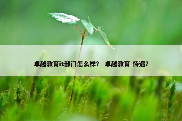 卓越教育it部门怎么样？ 卓越教育 待遇？