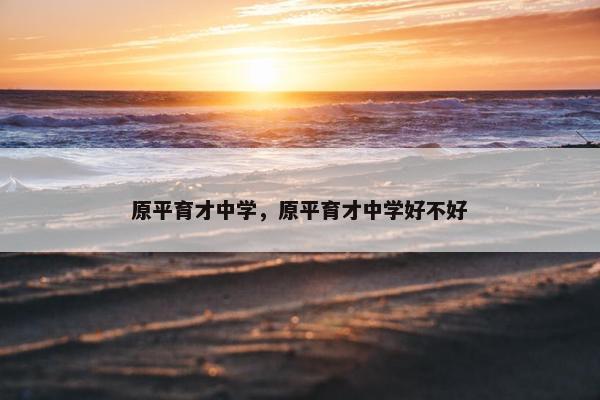 原平育才中学，原平育才中学好不好