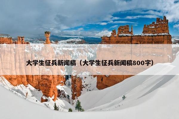 大学生征兵新闻稿（大学生征兵新闻稿800字）