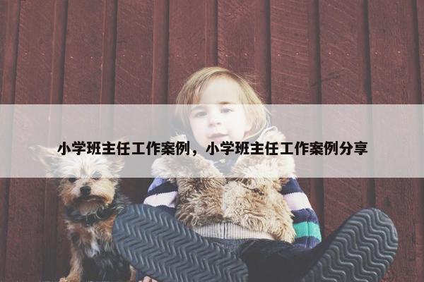 小学班主任工作案例，小学班主任工作案例分享