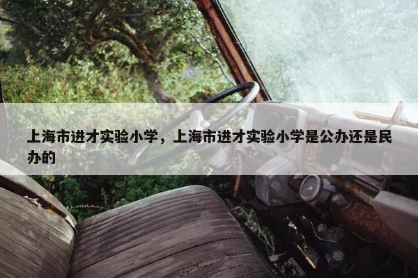 上海市进才实验小学，上海市进才实验小学是公办还是民办的