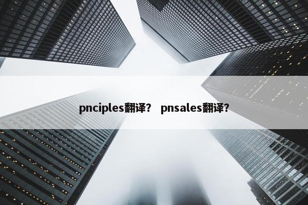 pnciples翻译？ pnsales翻译？