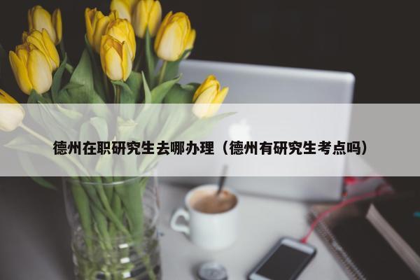 德州在职研究生去哪办理（德州有研究生考点吗）
