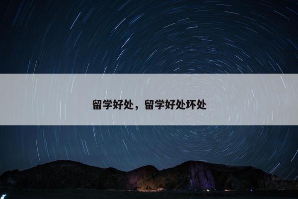 留学好处，留学好处坏处