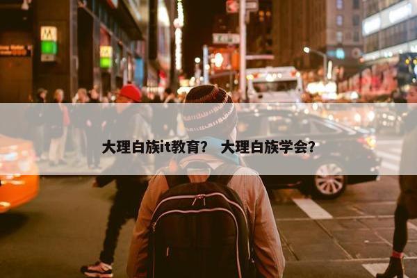 大理白族it教育？ 大理白族学会？