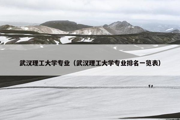 武汉理工大学专业（武汉理工大学专业排名一览表）