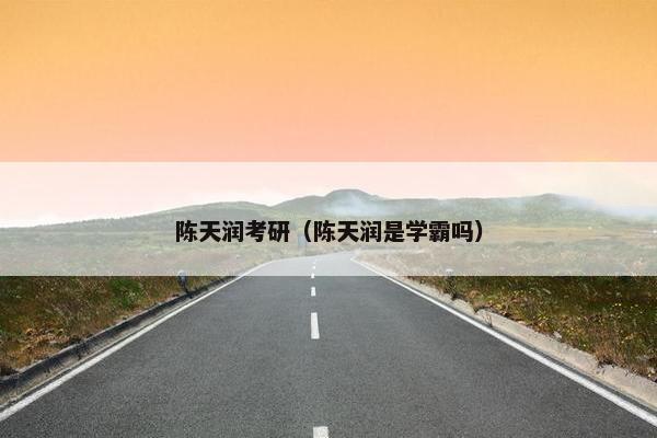 陈天润考研（陈天润是学霸吗）