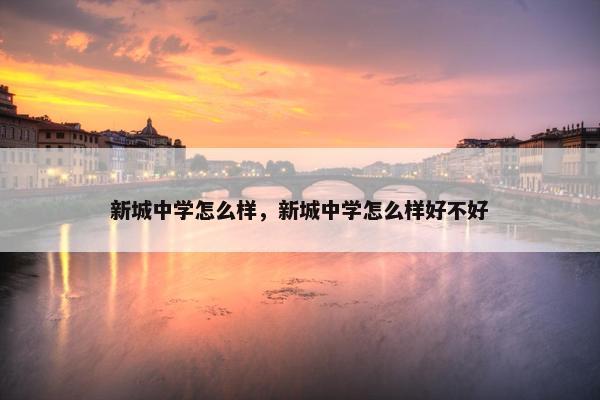 新城中学怎么样，新城中学怎么样好不好