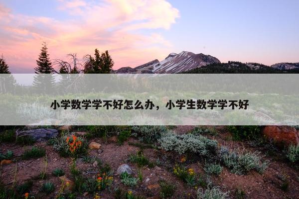 小学数学学不好怎么办，小学生数学学不好