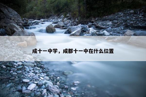成十一中学，成都十一中在什么位置