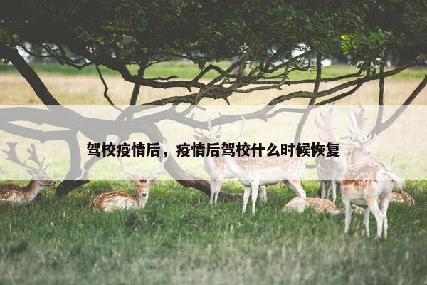 驾校疫情后，疫情后驾校什么时候恢复