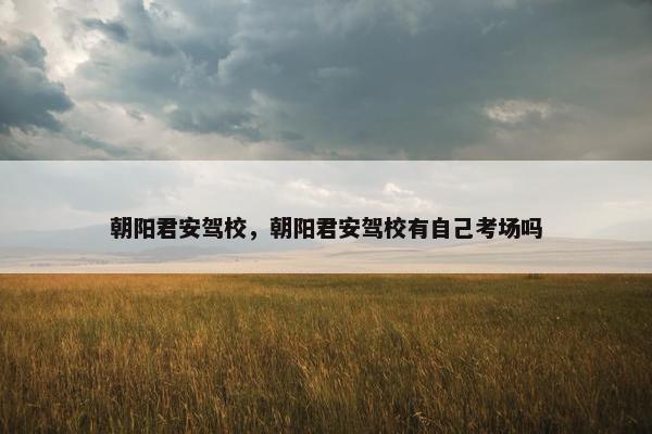 朝阳君安驾校，朝阳君安驾校有自己考场吗