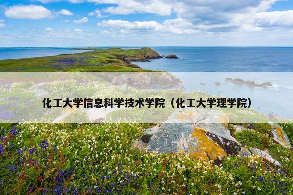 化工大学信息科学技术学院（化工大学理学院）