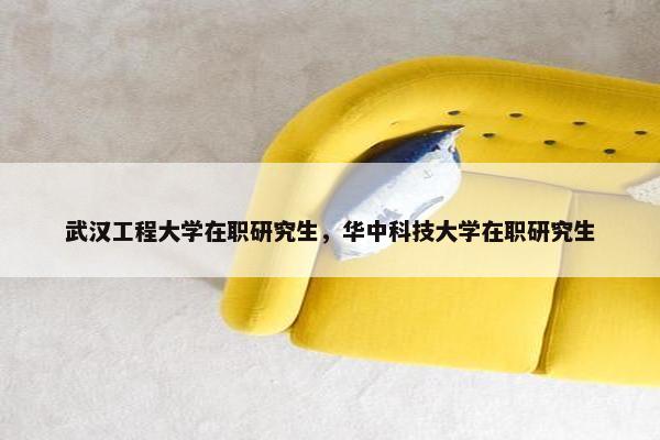 武汉工程大学在职研究生，华中科技大学在职研究生