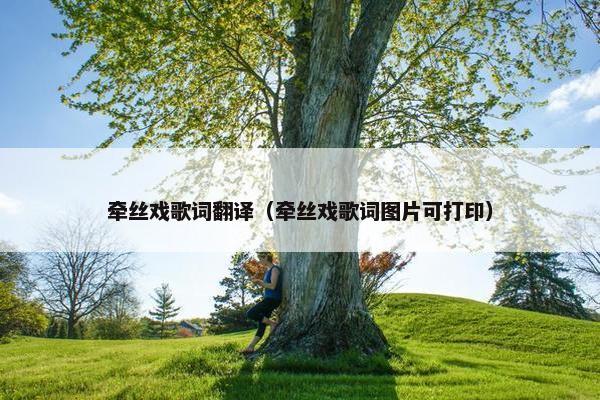 牵丝戏歌词翻译（牵丝戏歌词图片可打印）
