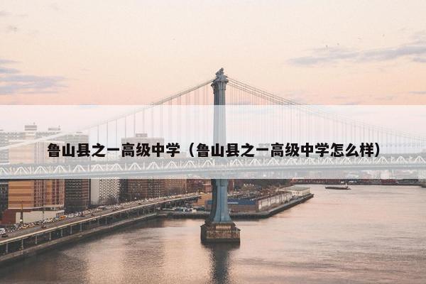 鲁山县之一高级中学（鲁山县之一高级中学怎么样）