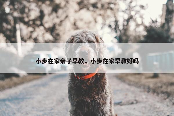 小步在家亲子早教，小步在家早教好吗
