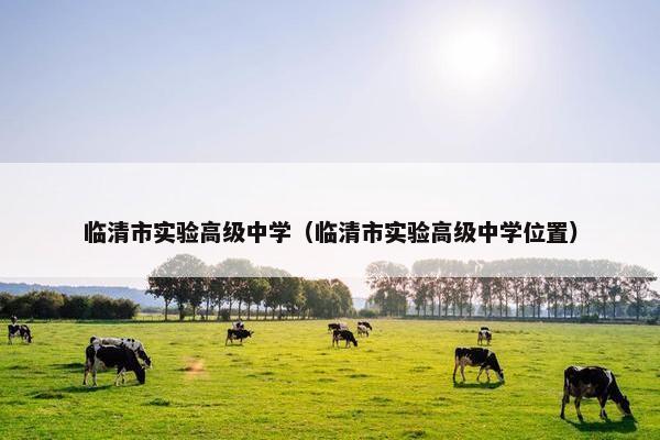 临清市实验高级中学（临清市实验高级中学位置）