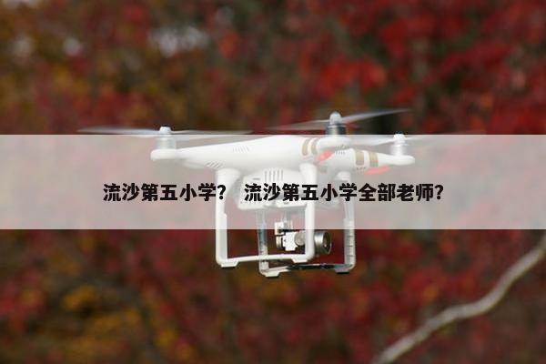 流沙第五小学？ 流沙第五小学全部老师？