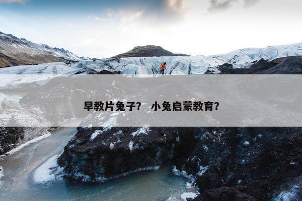 早教片兔子？ 小兔启蒙教育？