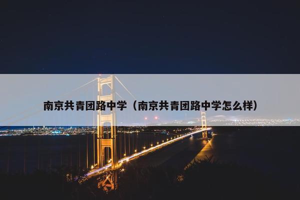 南京共青团路中学（南京共青团路中学怎么样）