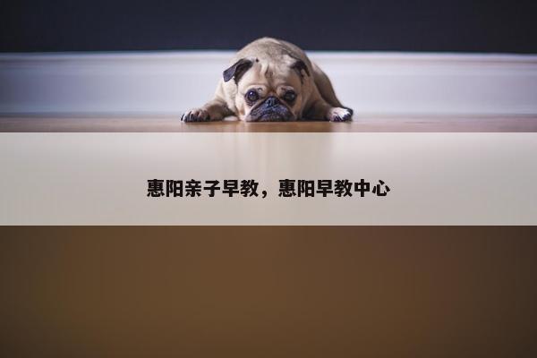 惠阳亲子早教，惠阳早教中心