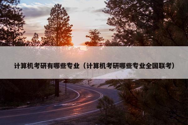 计算机考研有哪些专业（计算机考研哪些专业全国联考）