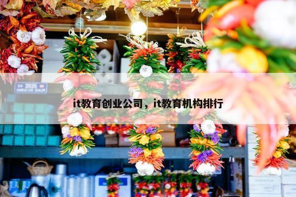 it教育创业公司，it教育机构排行