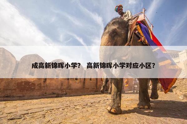 成高新锦晖小学？ 高新锦晖小学对应小区？