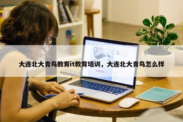 大连北大青鸟教育it教育培训，大连北大青鸟怎么样