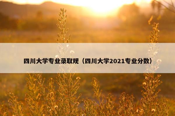 四川大学专业录取规（四川大学2021专业分数）