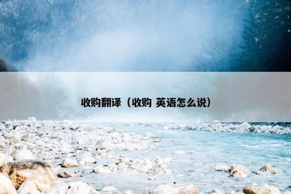 收购翻译（收购 英语怎么说）