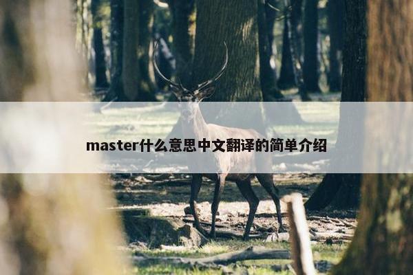 master什么意思中文翻译的简单介绍