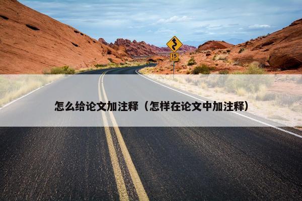 怎么给论文加注释（怎样在论文中加注释）