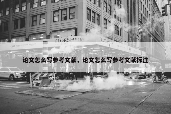 论文怎么写参考文献，论文怎么写参考文献标注