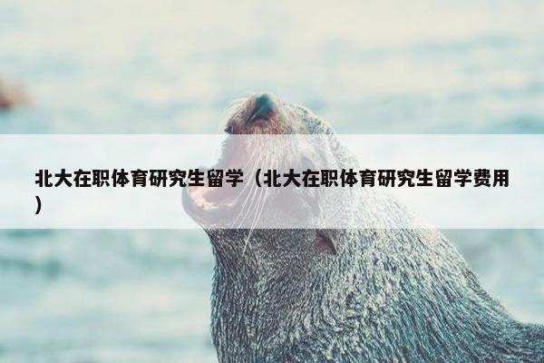 北大在职体育研究生留学（北大在职体育研究生留学费用）