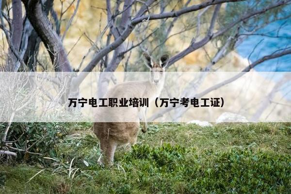 万宁电工职业培训（万宁考电工证）