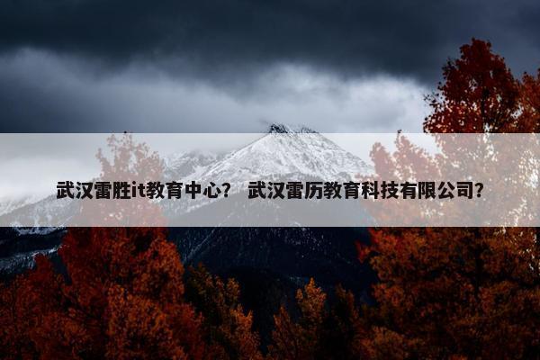 武汉雷胜it教育中心？ 武汉雷历教育科技有限公司？