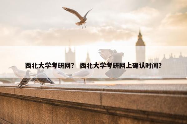 西北大学考研网？ 西北大学考研网上确认时间？