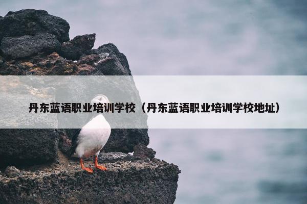 丹东蓝语职业培训学校（丹东蓝语职业培训学校地址）