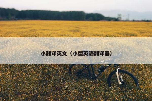 小翻译英文（小型英语翻译器）